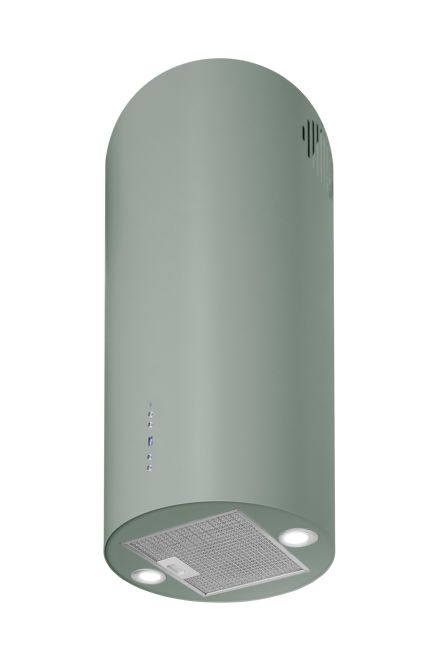 Hota insula Cylindro Eucalyptus - Eucalipt - fotografie de produs 6