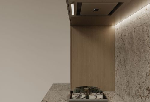  - Micra Inox Gesture Control