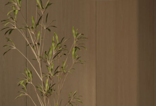  - Voliera N2 Kashmir-Kashmir Gesture Control